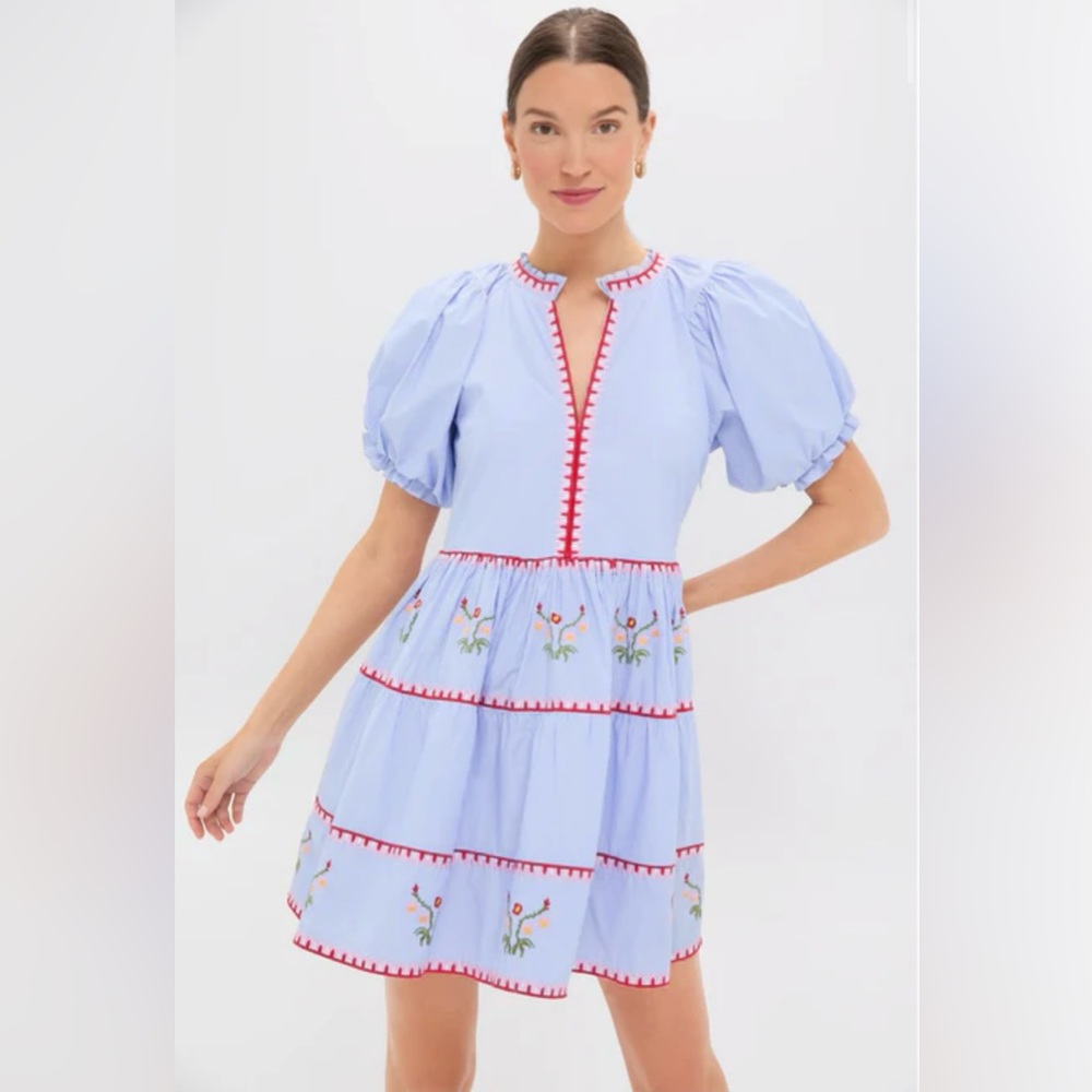 Blue Pinstripe Embroidered V-Neck Lillian Mini Dress